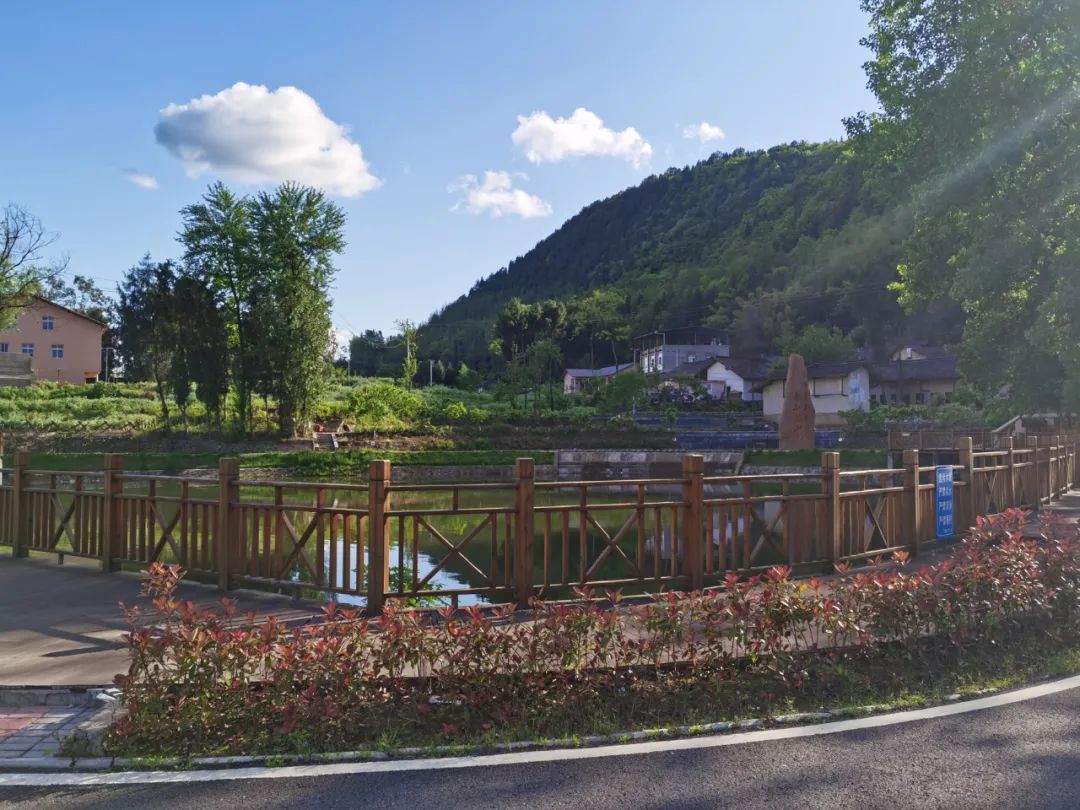 巴中平昌华山村:产业发展助力乡村振兴