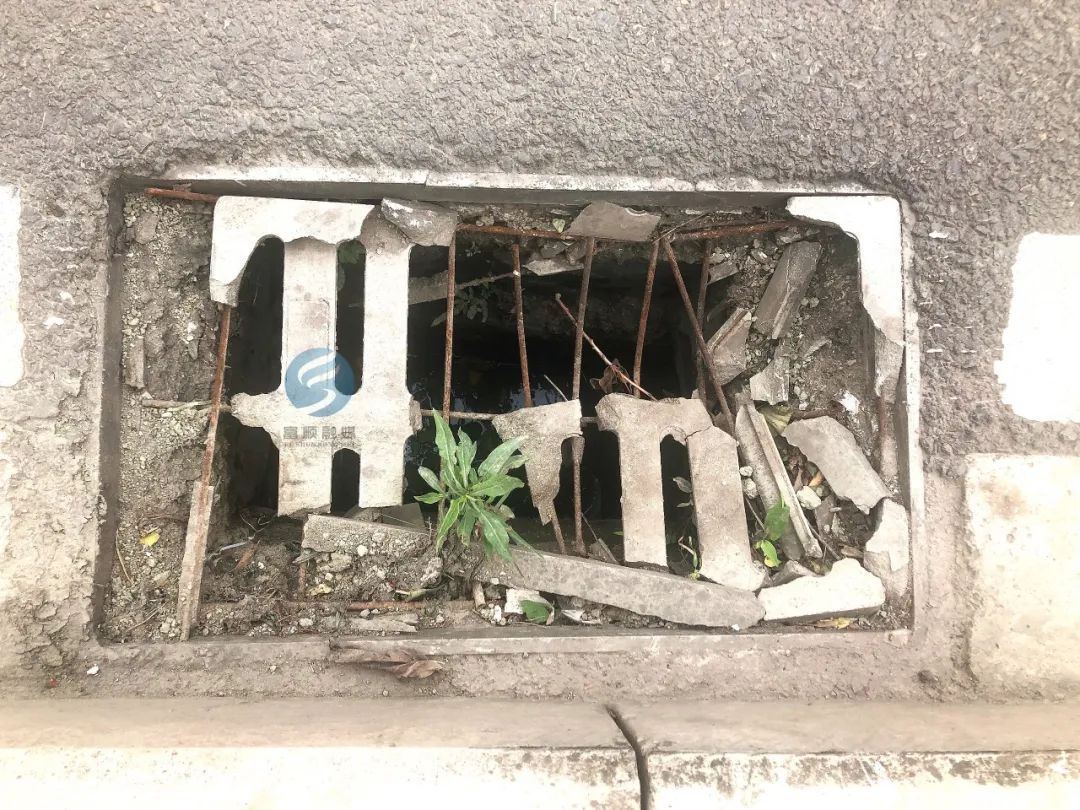 洞里还长出了几棵草有的破了一个大洞路边这些下水道井盖一个个破烂不