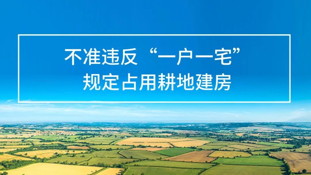 违反一户一宅规定占用耕地建房将面临什么处罚