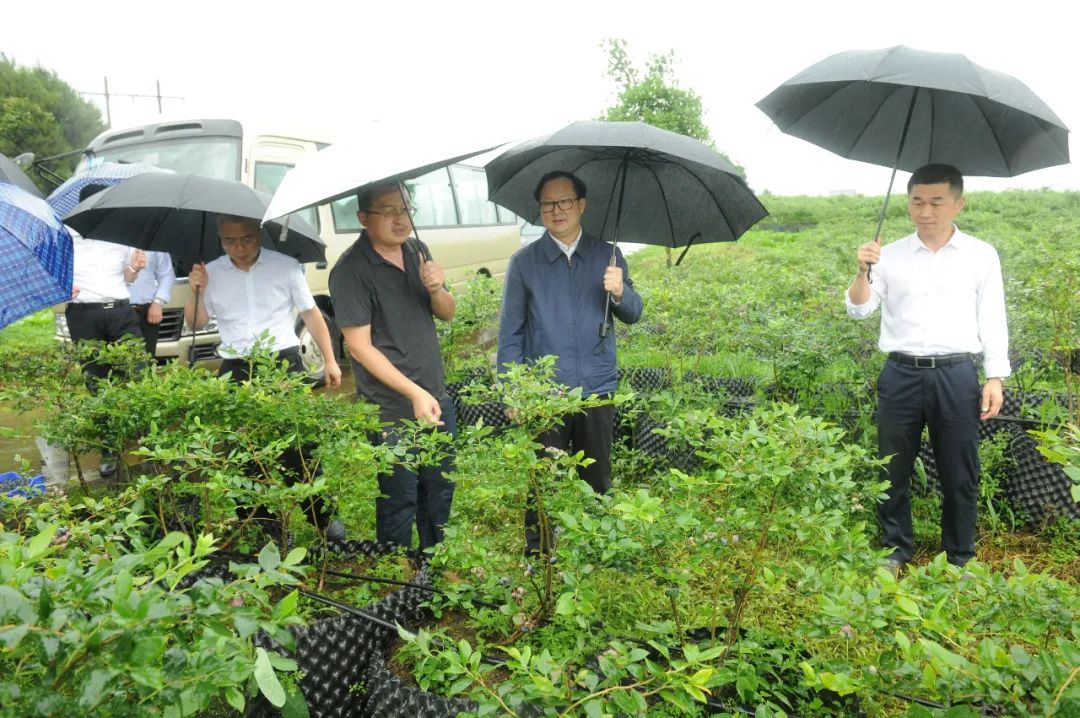 丹寨縣調研鄉村振興工作情況,實地考察了丹寨縣法院興仁人民法庭,興仁