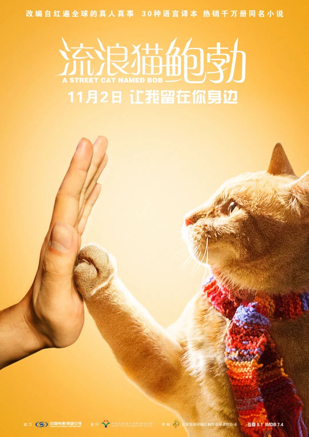 《流浪猫鲍勃》《黑猫白猫》《姆明:漫游蓝湾》《公主夜游记》通讯员
