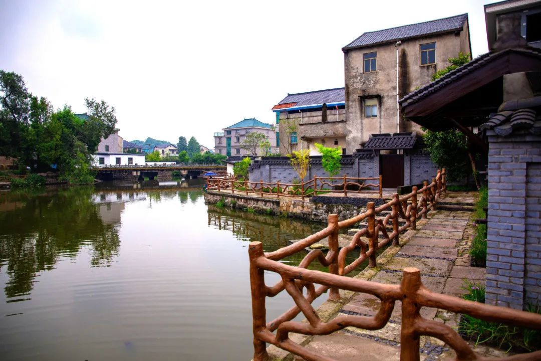 【萧姐妹61美丽家园】戴村镇东风村:小庭院,大视野,美丽庭院开启