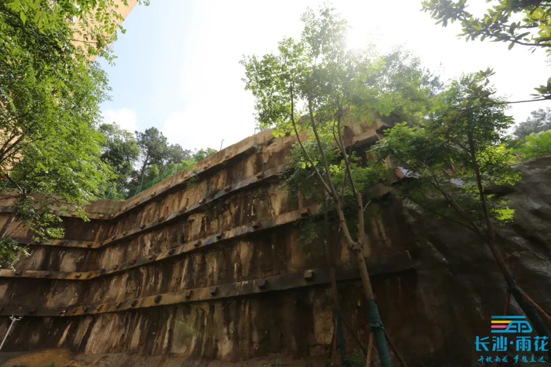 我为群众办实事 | 80米长"生病"山体护坡"变身"记