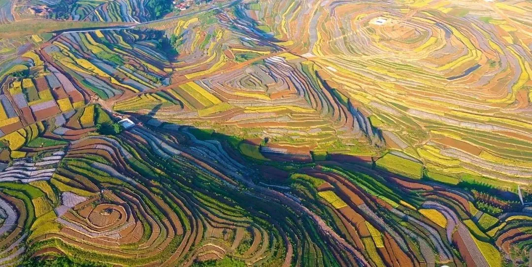 国家地理杂志既视感这片梯田美爆了谁看了都心动