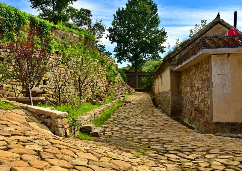 屋在林中,林在屋外,乳山这里藏了一处古老村落!
