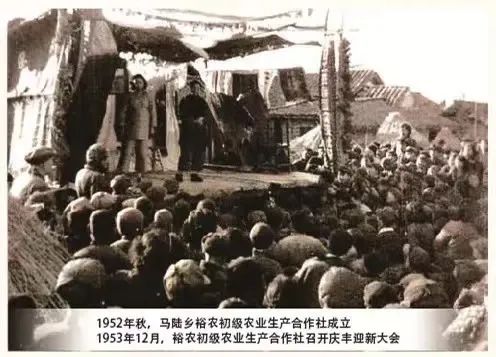 这张老照片见证了嘉定农业经济的发展