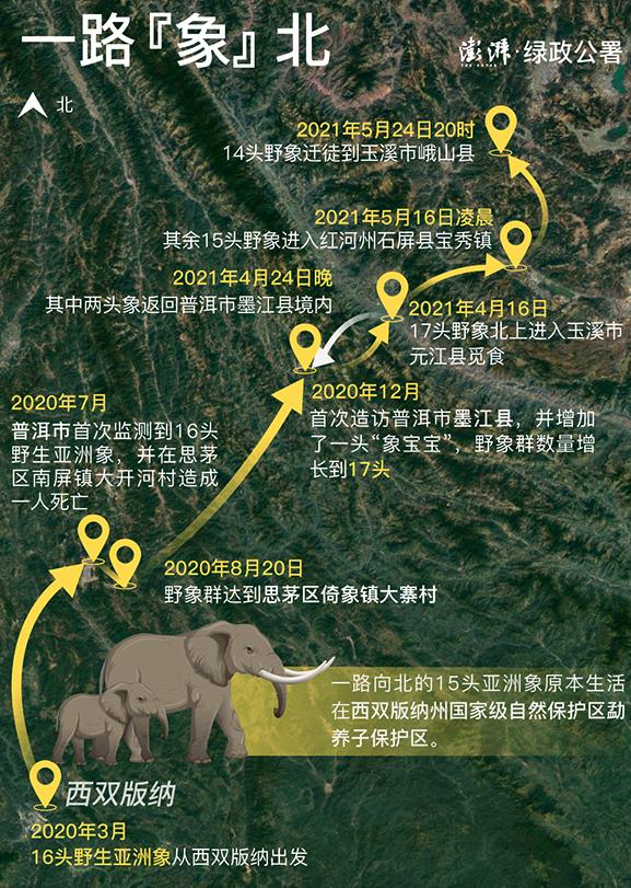 象群北上进昆明是大象变多了还是栖息地不够