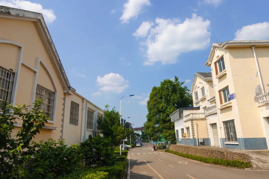 为全面精细化提升四川天府新区南新村村民居住环境,落实"十大工程"