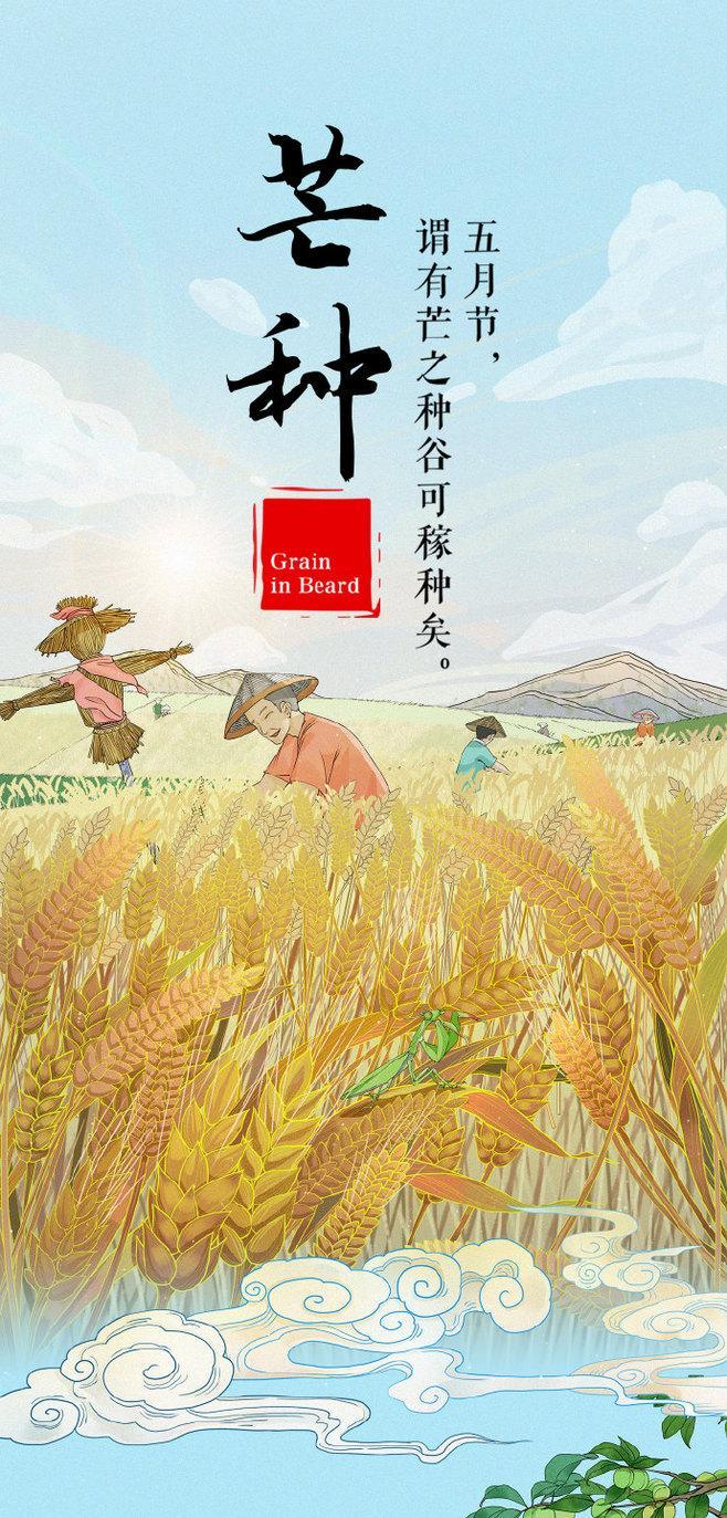 走进中医药文化泽草所生种之芒种