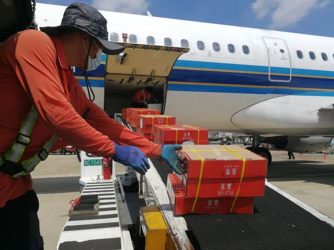 南航物流的鲜果航班里有什么?