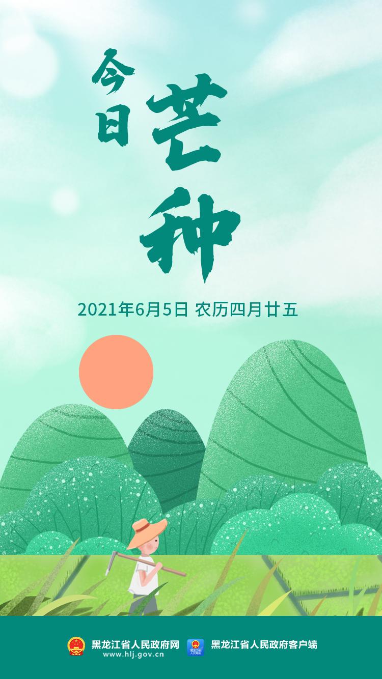 今日芒种收获幸福种下希望