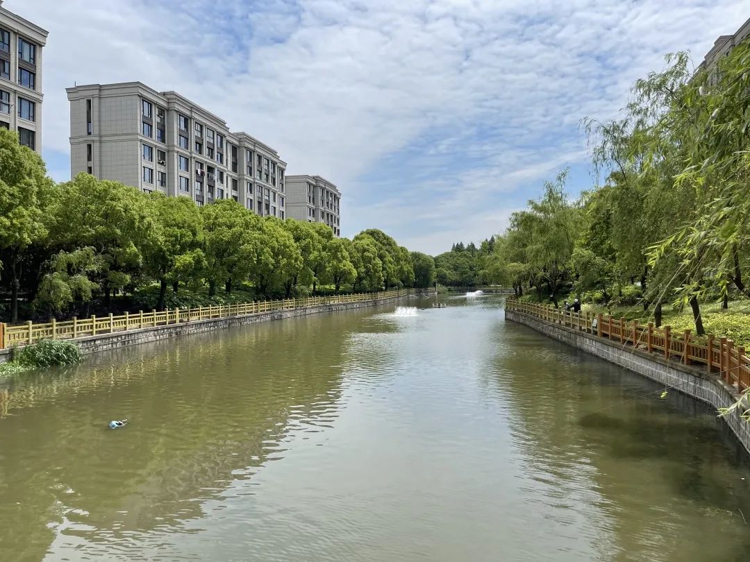 杨浦这些家门口的小河入选上海最美河道在你家附近吗