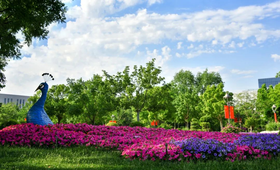 又双叒叕被"武清蓝"迷倒了!