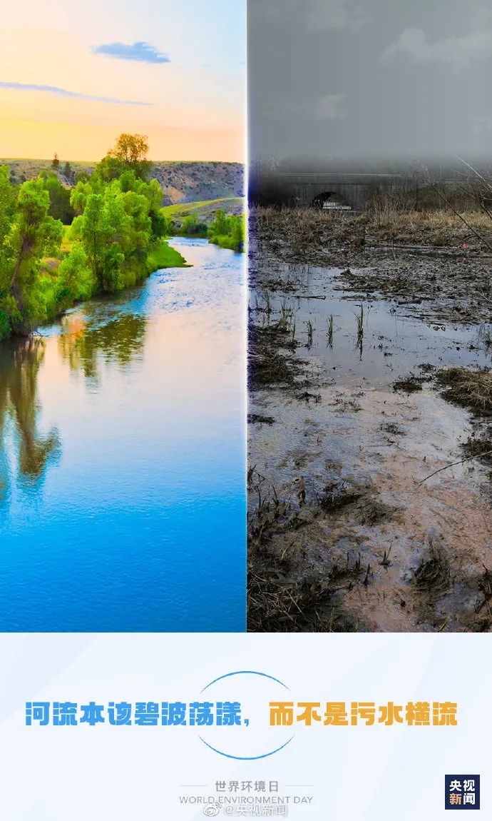 这组对比图很揪心!保护环境,人人有责!
