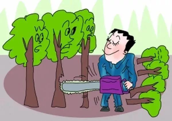 以案说法破坏生态环境保康多人获刑