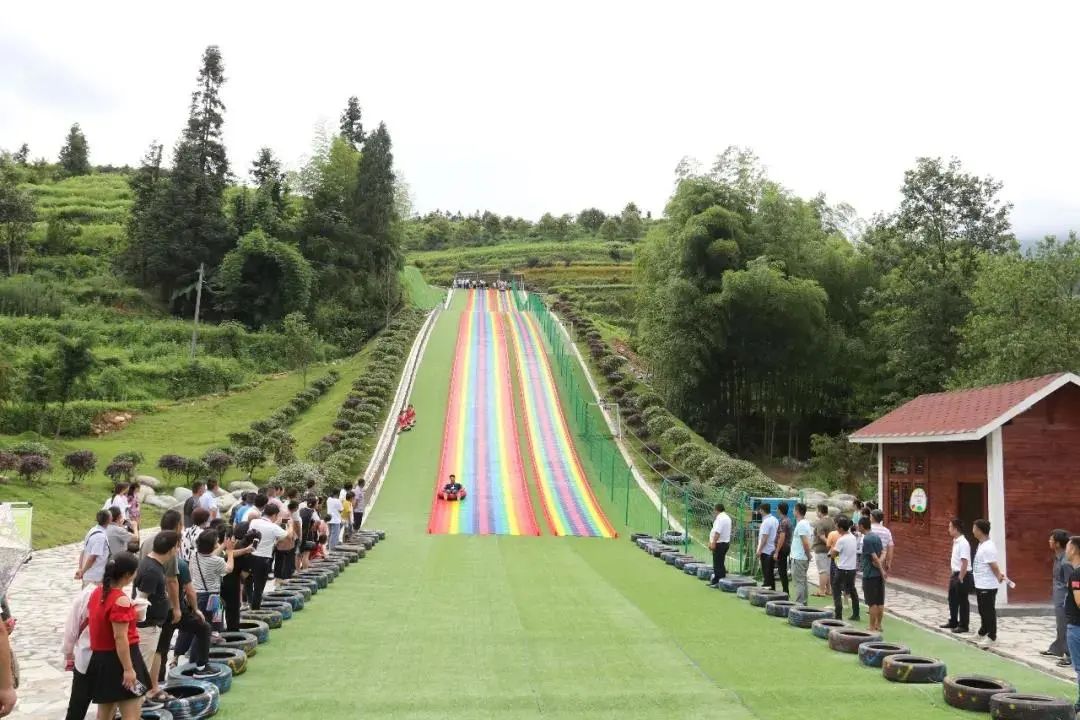 坝梅生态园村里种植成片的茶园,村民们在茶园采摘新茶,并建设了乡村