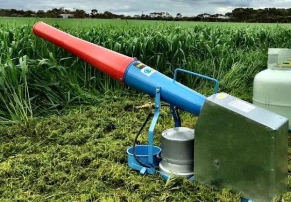 当地时间6月2日晚21时左右,涉事的两名探员正驾车一片玉米地里巡逻