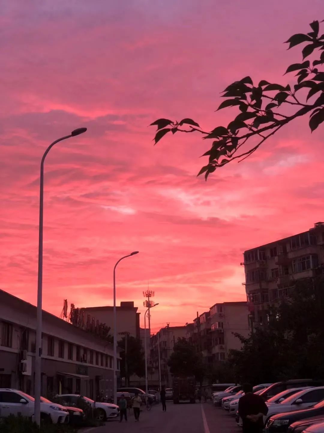 无锡仲夏,醉美黄昏城市在晚霞中熠熠生辉当云朵被落日染上火焰色对饮