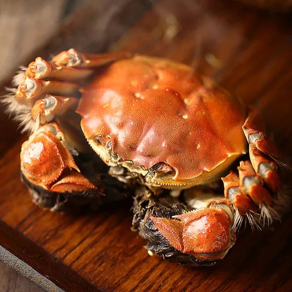 宁品读忙虽忙勿忘六月黄