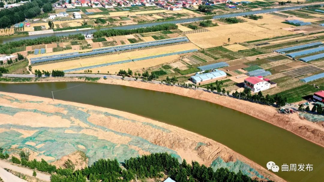 爱护母亲河: 滏阳河曲周段生态修复工程进行时