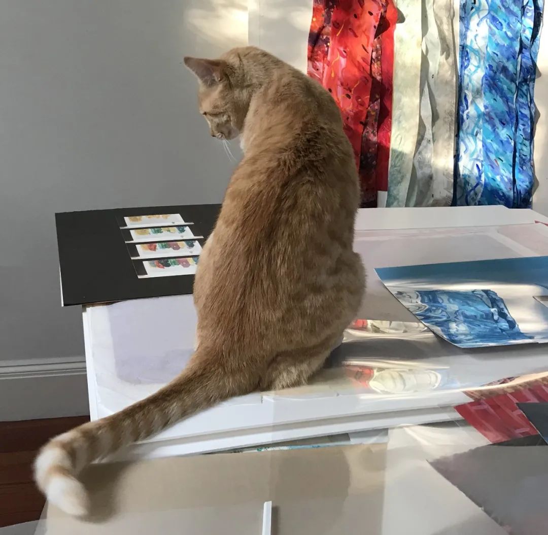 猫去世前会离家出走吗 189.jpg