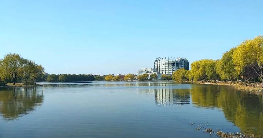 权威发布 | 东华大学2021年本科招生章程