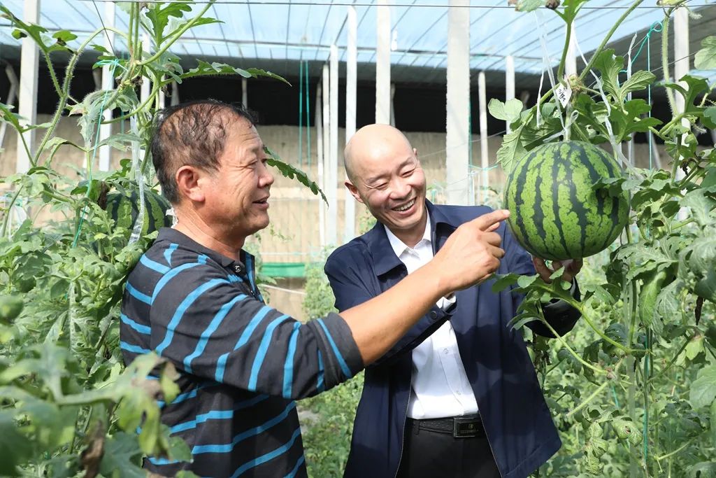 第一书记王永军(右一)给群众介绍郭牌西瓜的挑选标准.