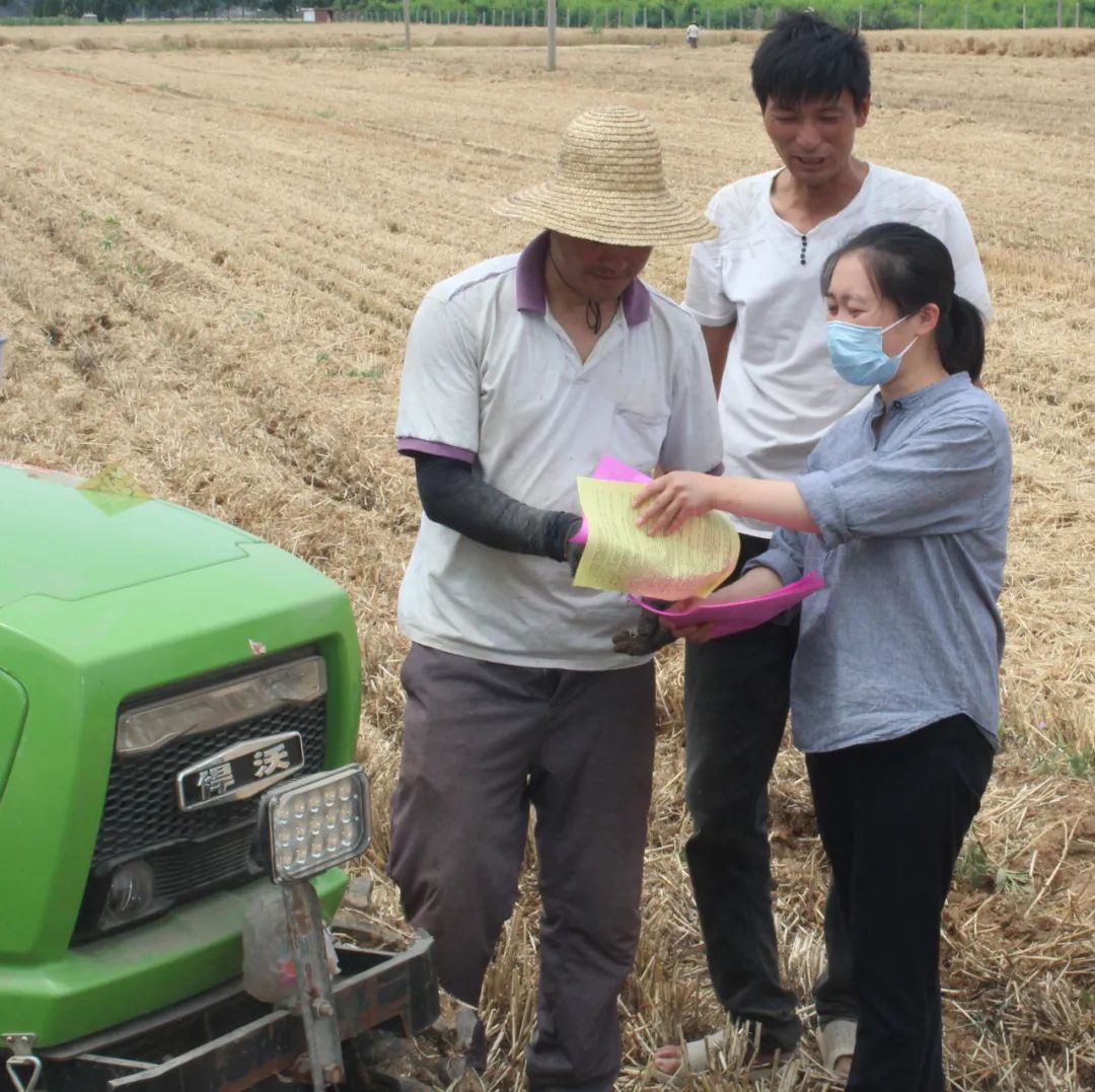 羊庄司法所普法惠农保三夏