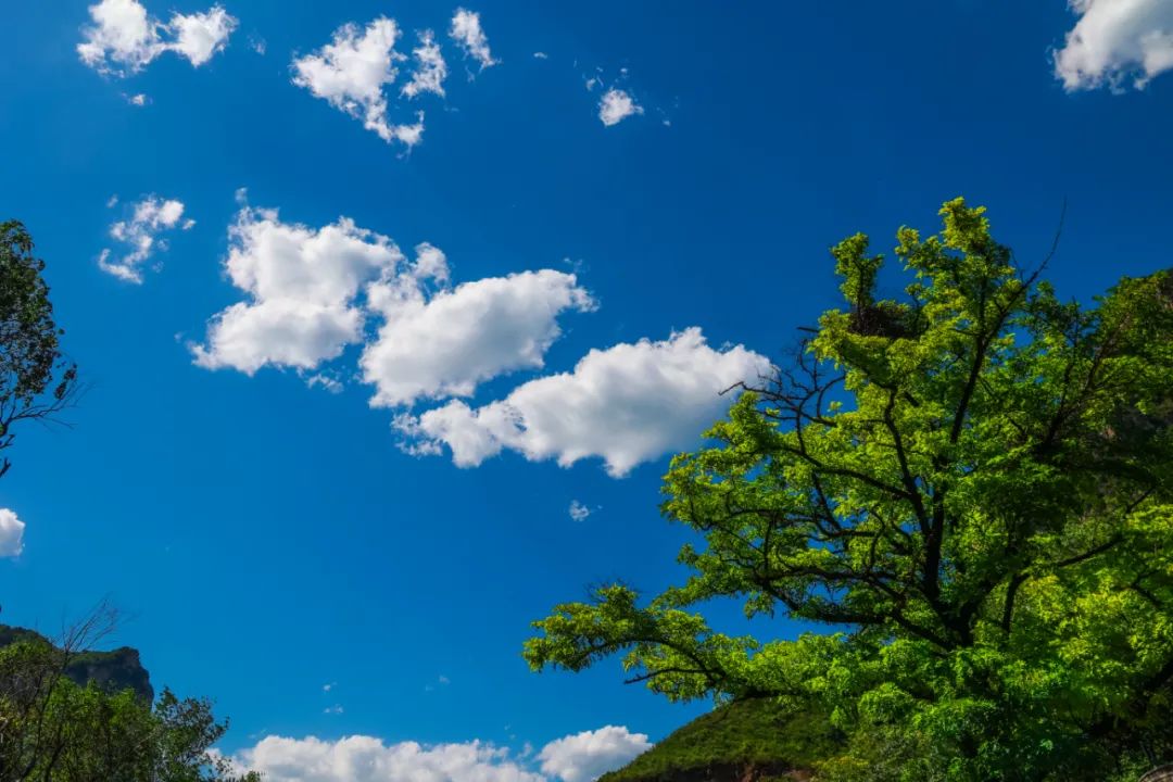 不可思议的"云台蓝"揉碎夏的热烈不可思议的"云台蓝"再次刷屏如同