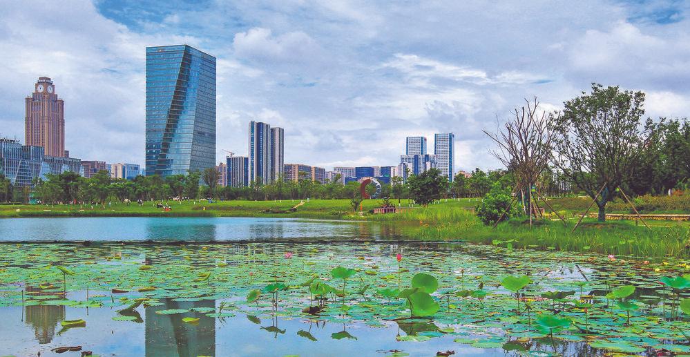 天府一二三四五街,火上央视