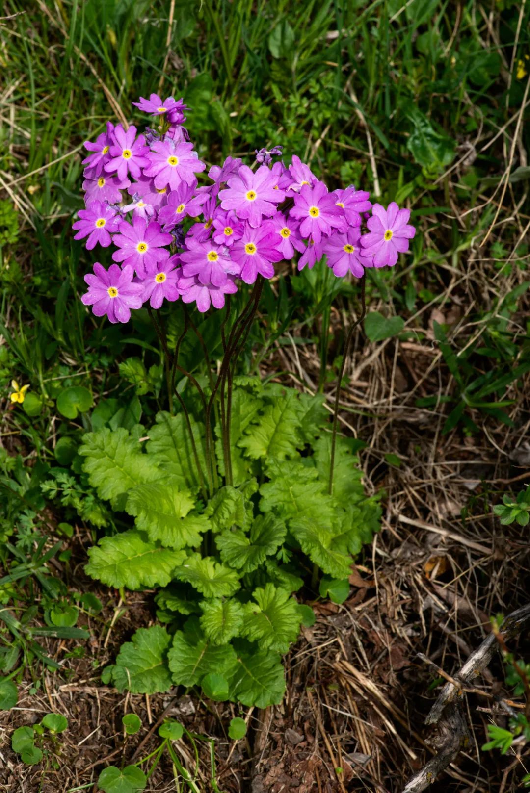 欣赏丨保护生物多样性共建美丽阿拉善主题摄影作品展八