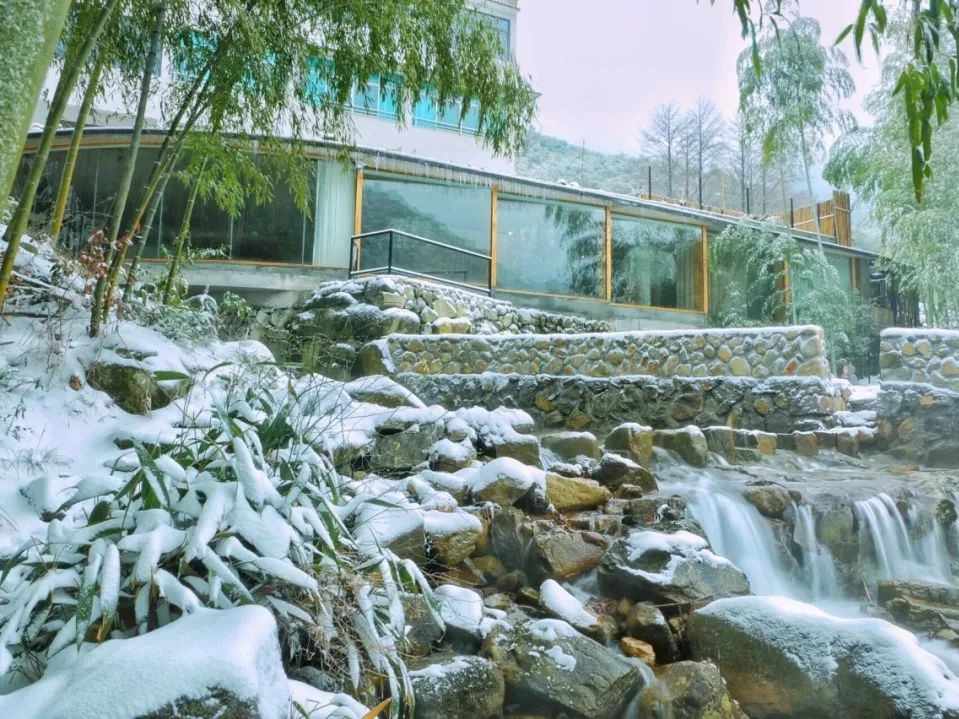 【基层动态】安吉县报福镇深挖乡贤资源 汇聚乡贤之智 不断凝聚乡村