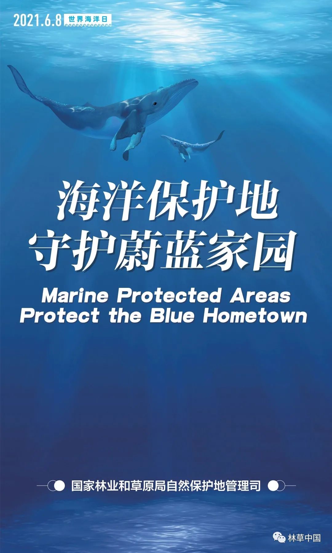 世界海洋日"和第十四个"全国海洋宣传日",主题为:"保护海洋生物多样性