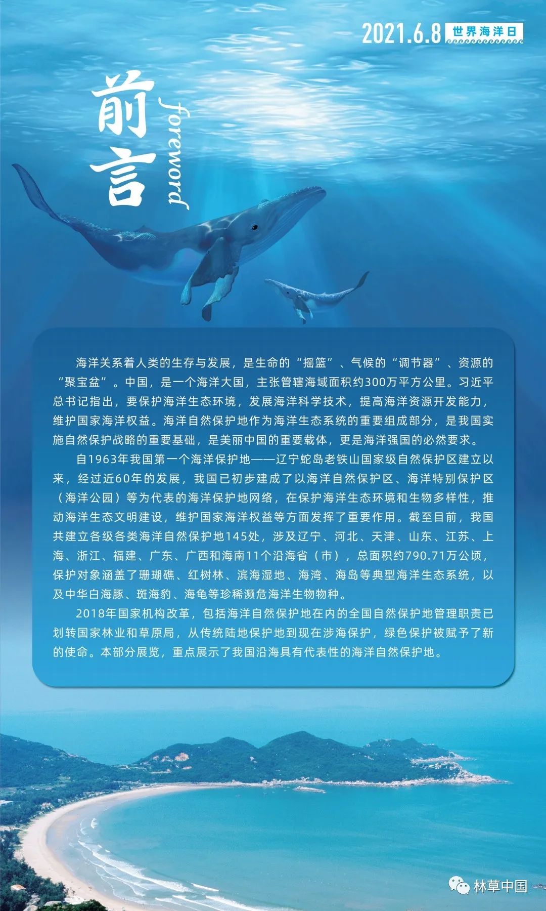 世界海洋日"和第十四个"全国海洋宣传日",主题为:"保护海洋生物多样性