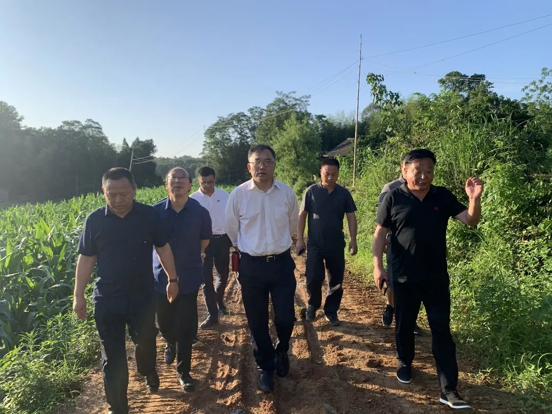 蒋新雄到红星村调研指导农村人居环境整治工作_政务