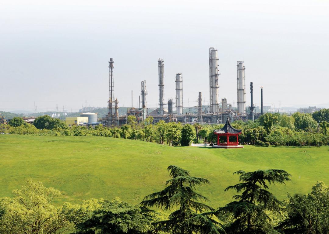 金陵石化:绿映塔林