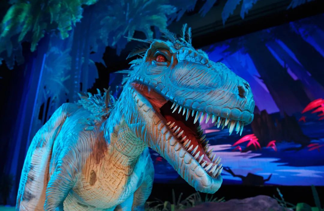 2021年8月9日19:30《恐龙归来之小精灵探险记2》讲述了史前小精灵笑笑