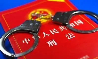 雙胞胎兄弟涉毒犯罪雙雙被判刑