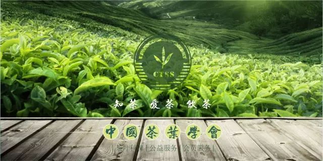安溪铁观音：乌龙茶中的历史名茶，春水秋香，七泡有余香
