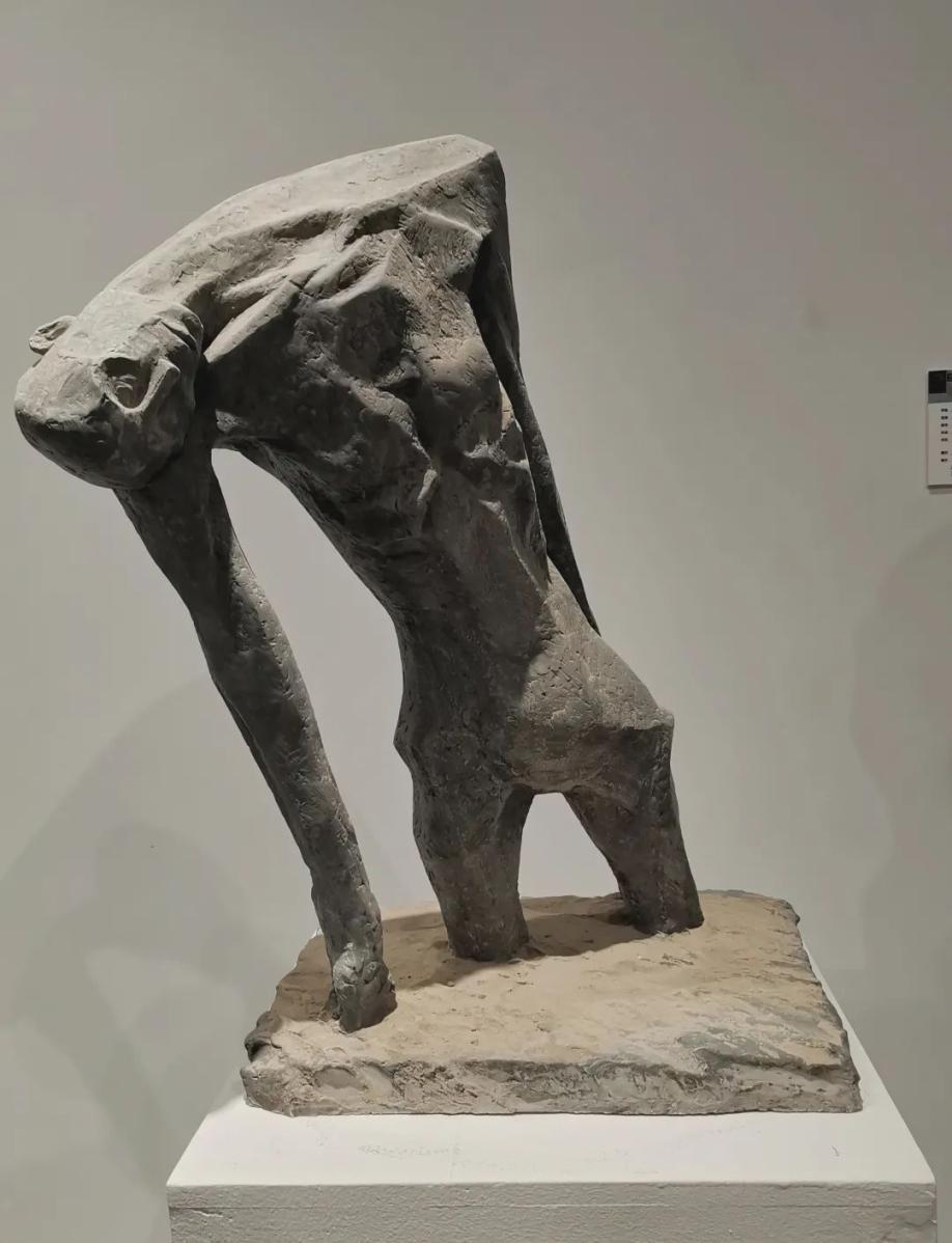 探馆·看展|同·时·代——中国美术学院雕塑与公共艺术学院2021届