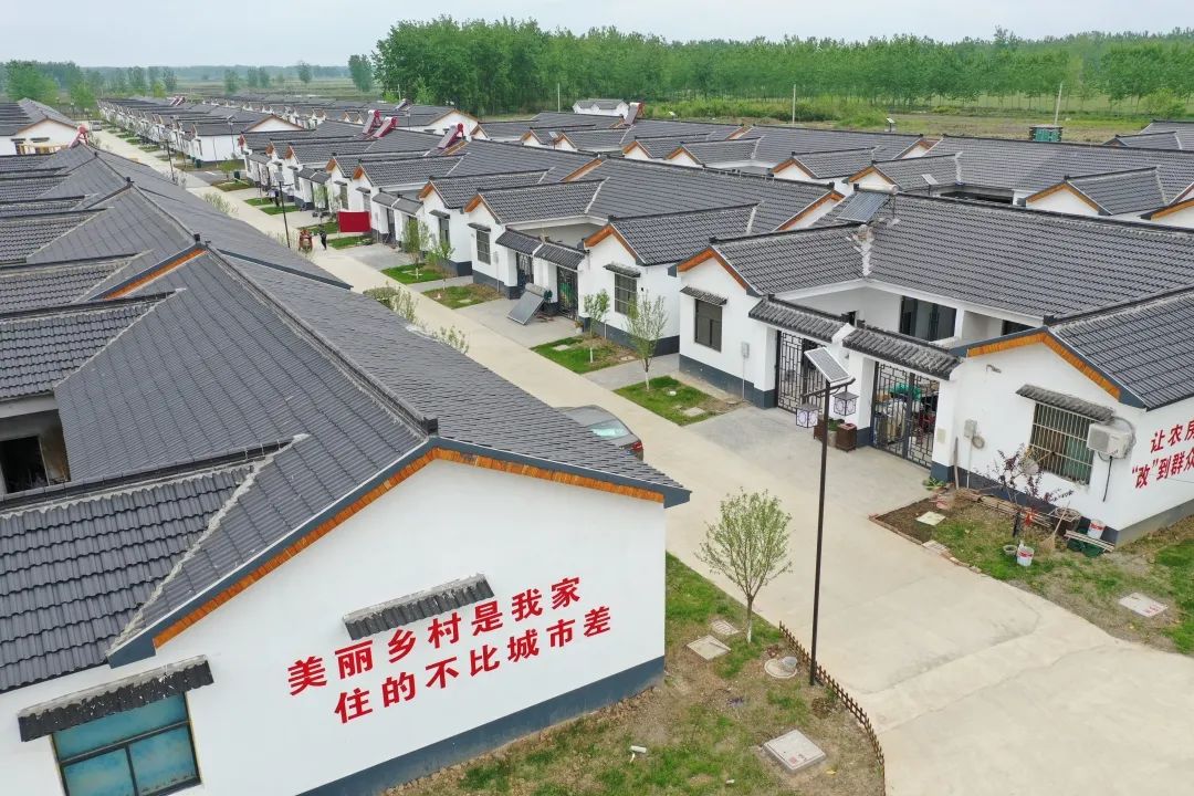 虾稻共生,雨山茶叶等特色产业持续推动共同富裕,桃源小镇,芦沟小区等