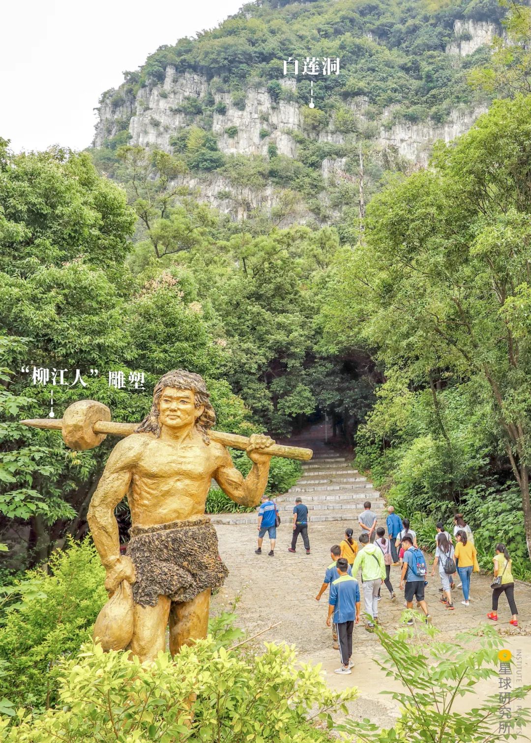 白莲洞与洞前的"柳江人"雕塑 | 摄影师@陈碧信/柳州市文广旅局位于