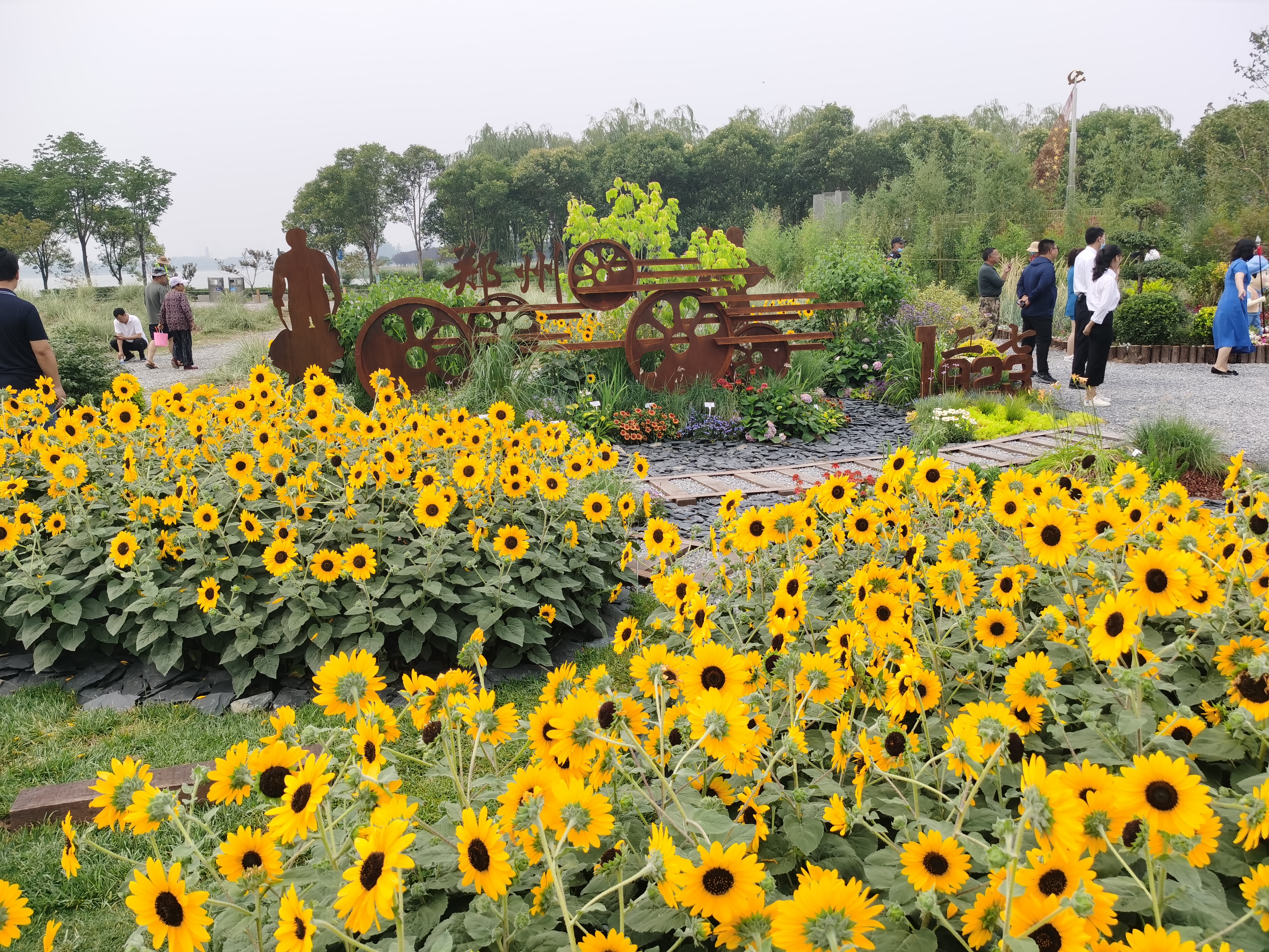 百花斗艳生态秘境建党百年花境竞赛活动在郑州开幕