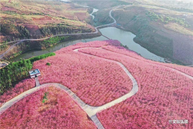 澎湃新闻客户端