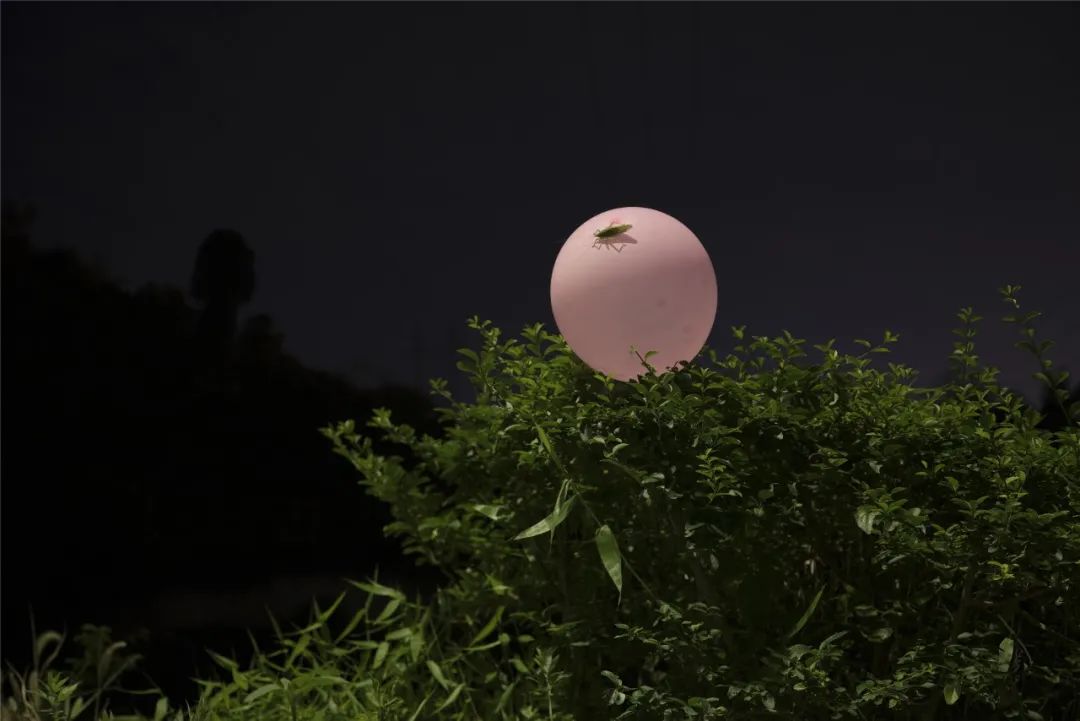 夏日下河晚风之夜摄影师214分享会