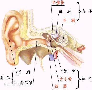 动耳神功教程图片