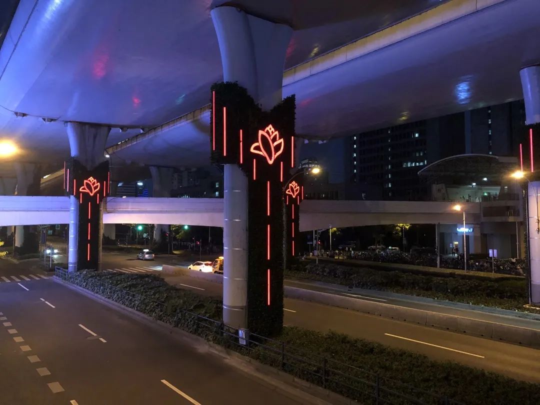 虹口中环线桥柱华丽变装高架桥柱上市花白玉兰绽放