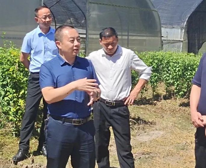 杨坚带队调研农村人居环境整治和城市规划建设发展工作