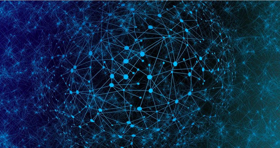 网络神经科学前沿:大脑如何在局部和全局高效处理信息?