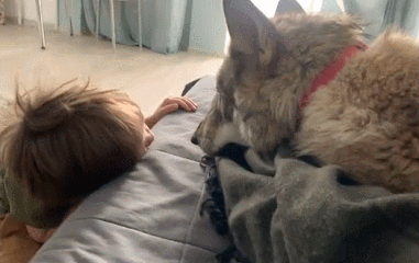381_240gif 动态图 动图
